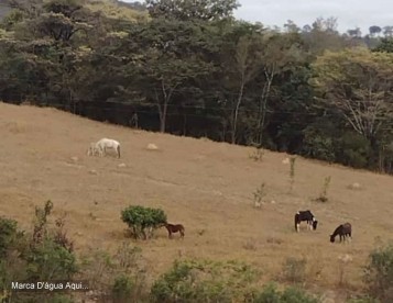 Fazendinhas de 2ha pertinho de BH - 30 minutos do Ceasa